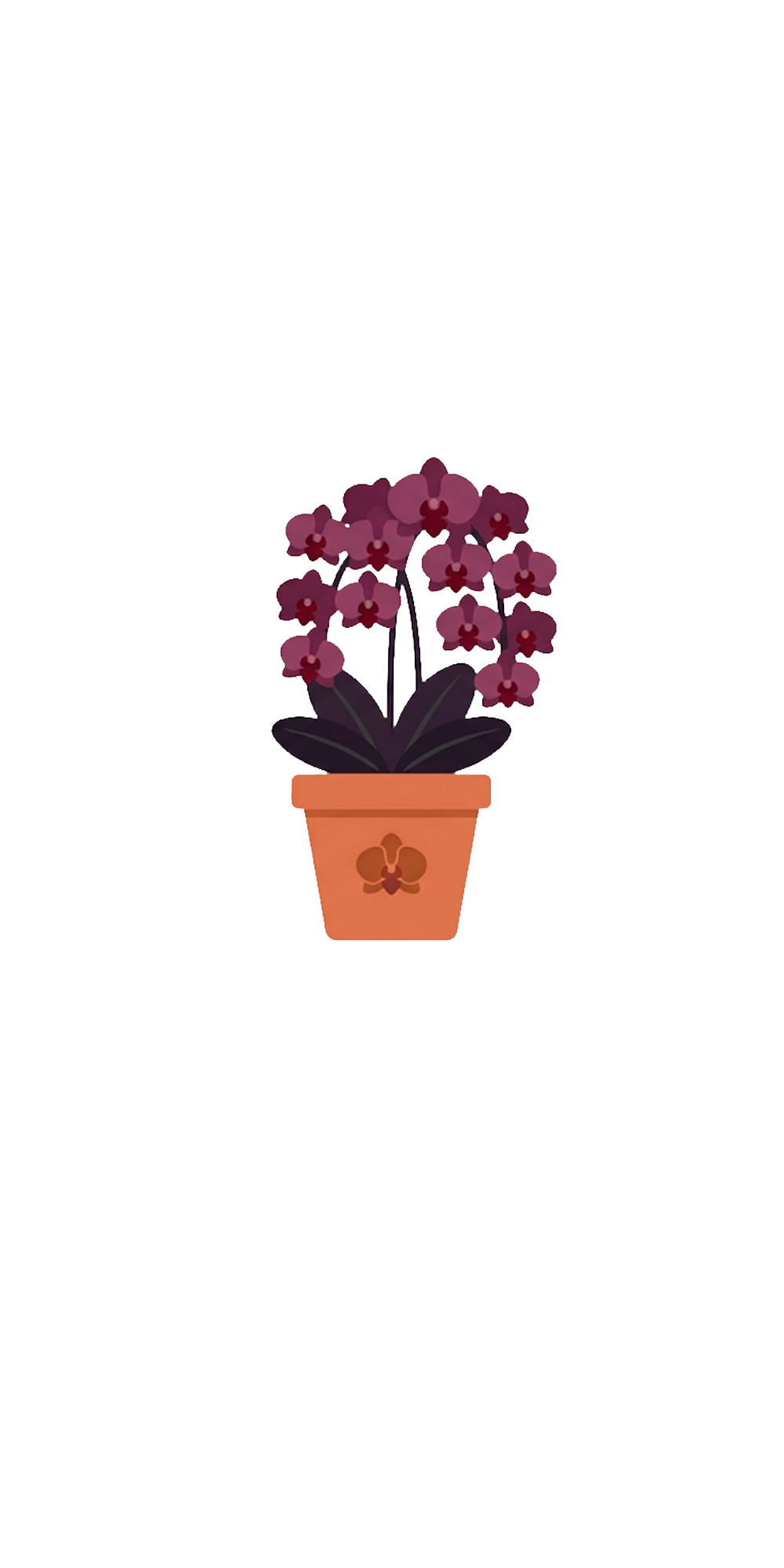 Black Orchid