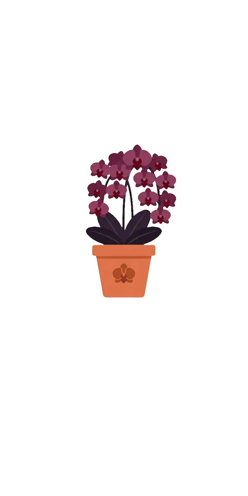 Black Orchid