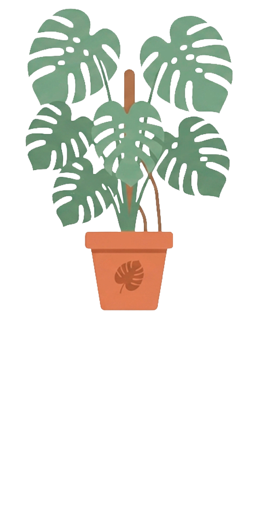 Monstera
