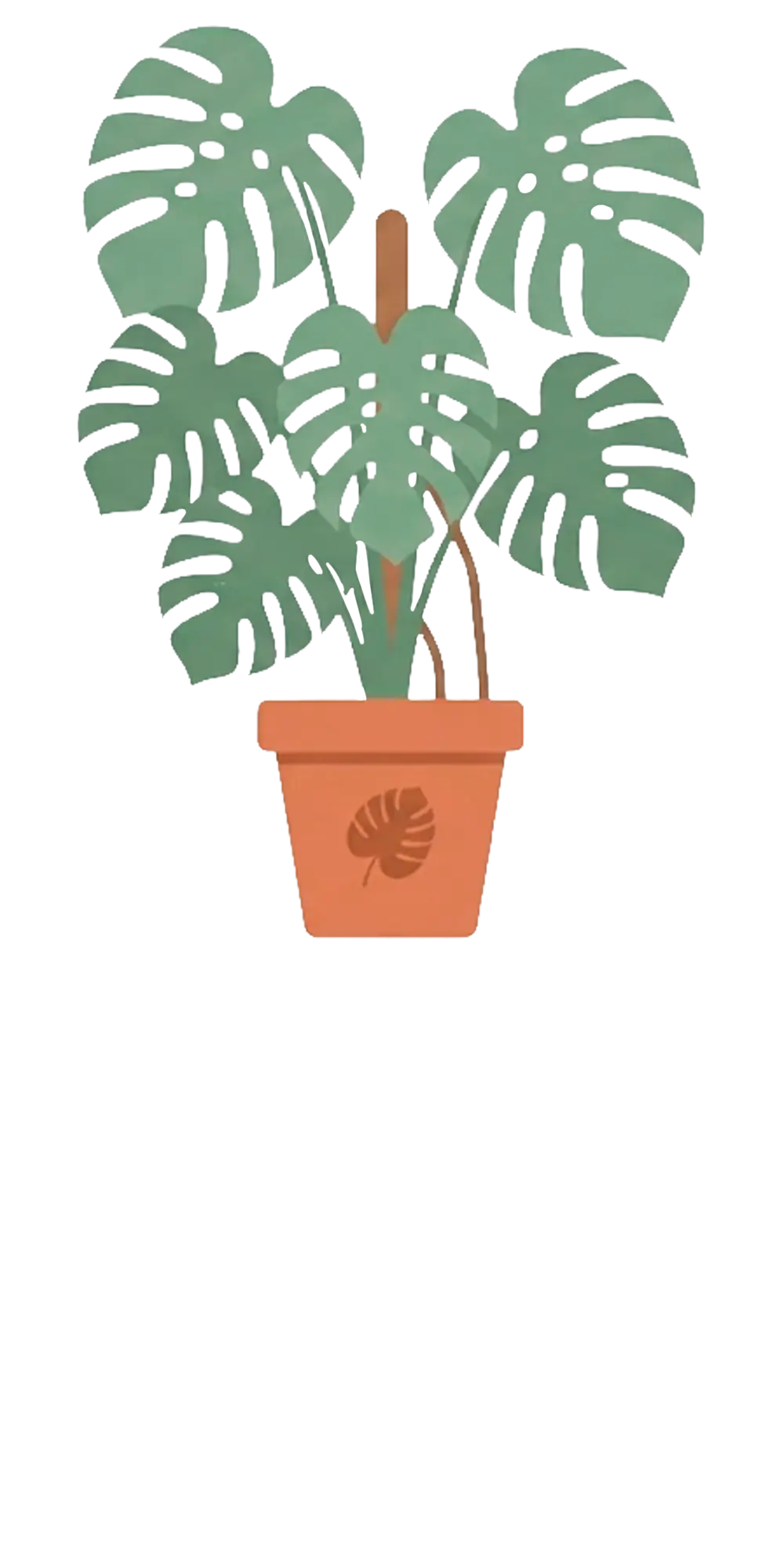 Monstera