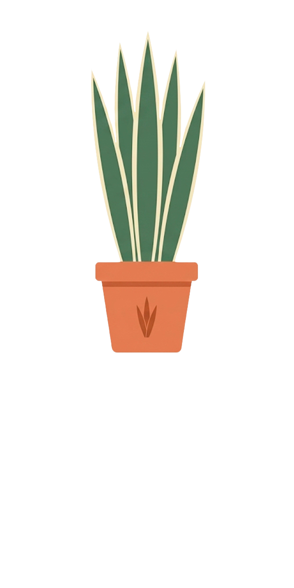Snake Plant