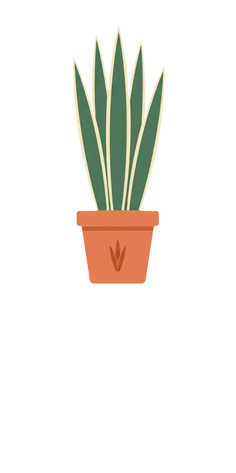 Snake Plant