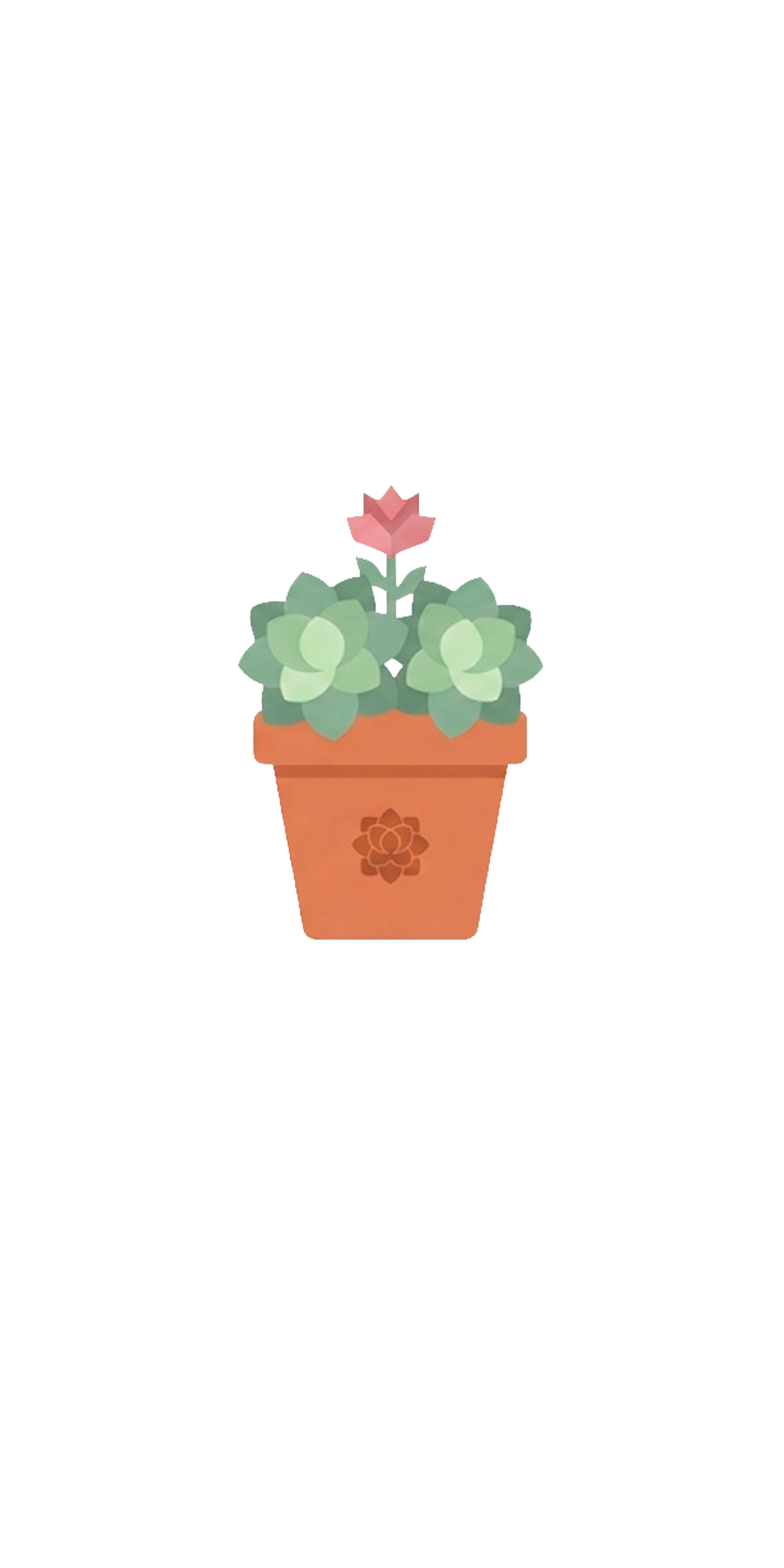 Succulent