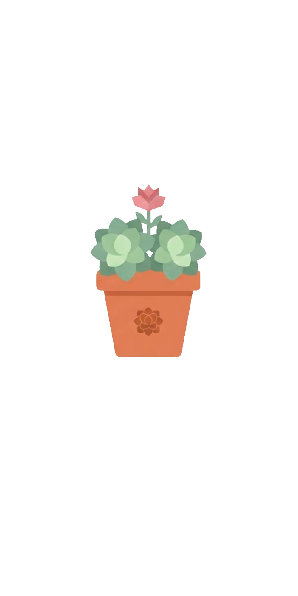 Succulent