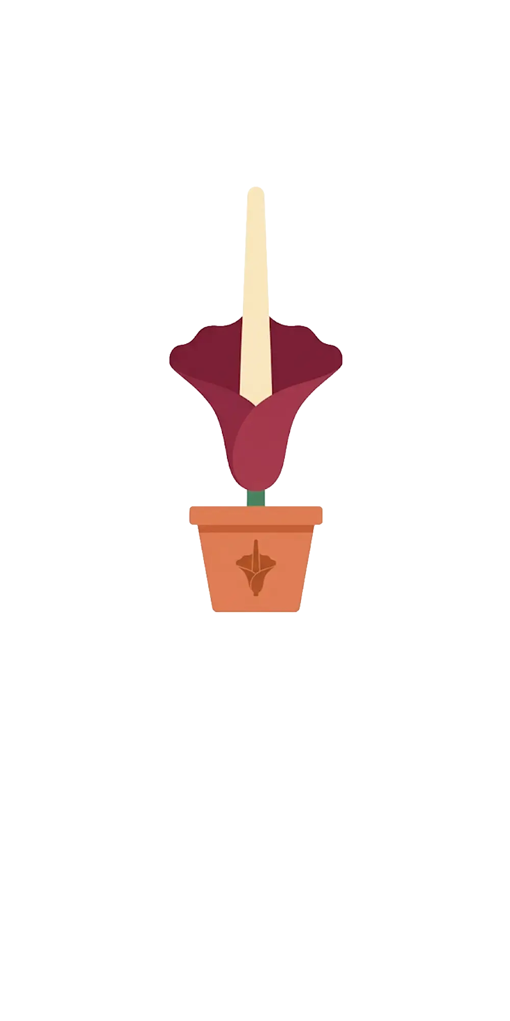 Titan Arum