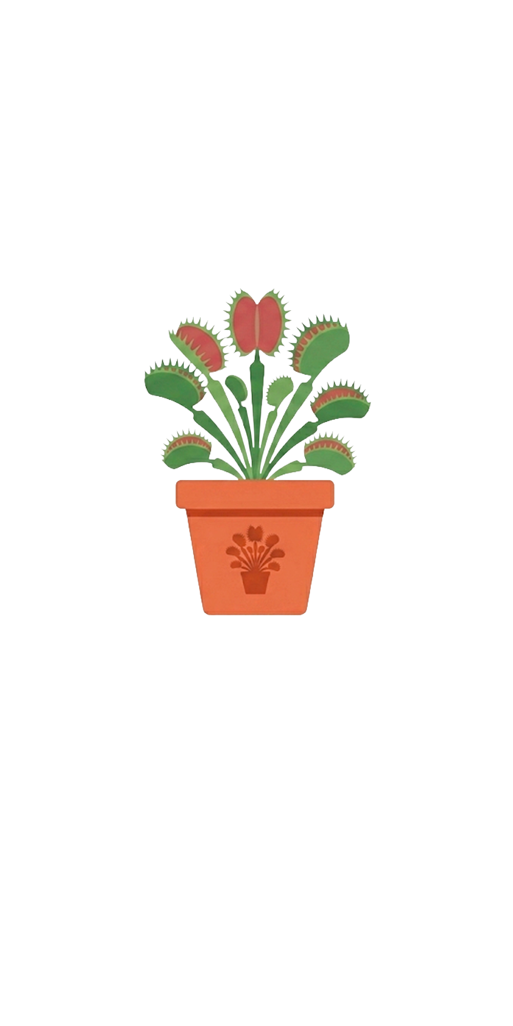 Venus Flytrap