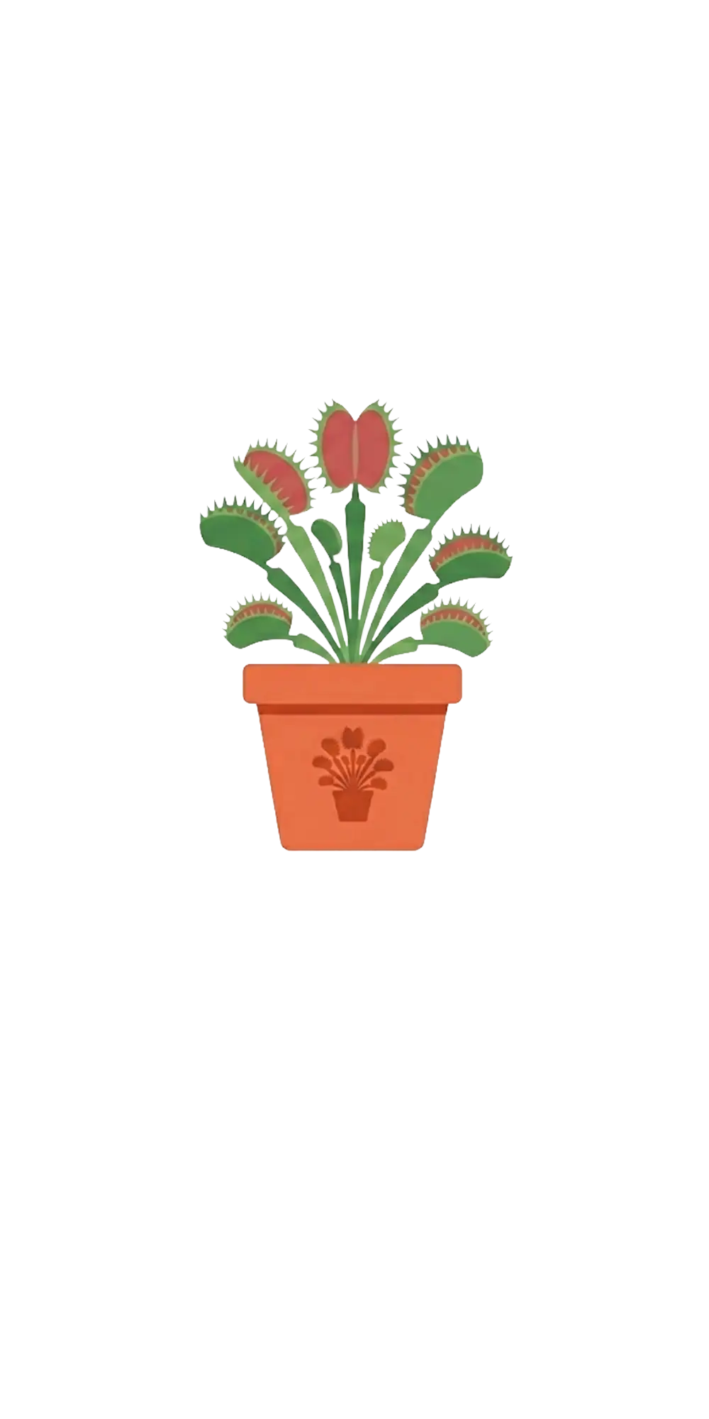 Venus Flytrap